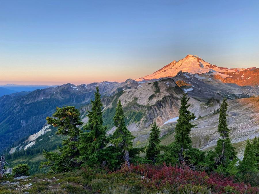 Snow-covered mountain catching first light above alpine trees